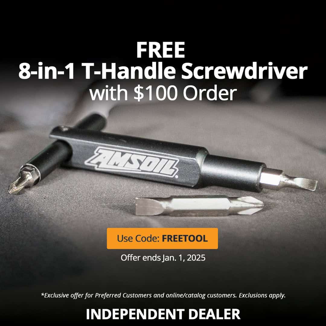 Free 8-in-1 T-handle screwdriver with $100 order